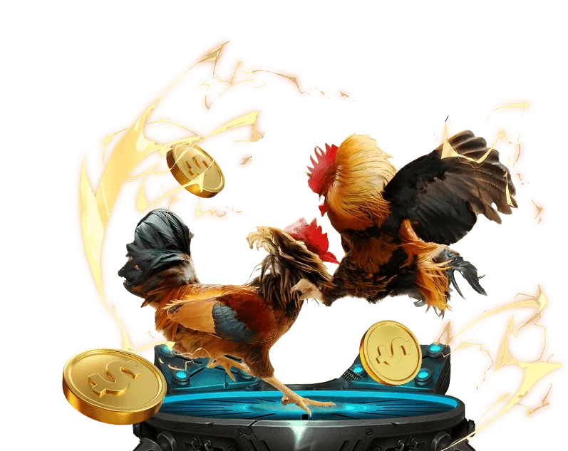 Cá cược thể thao Win55 Link Win55